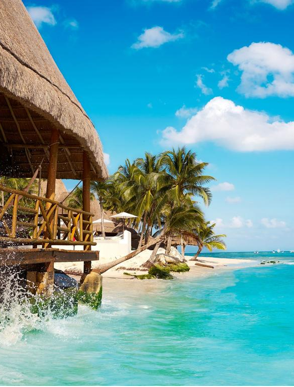 Playa del Carmen en enero con aguas turquesas, palmeras y palapas típicas de la Riviera Maya